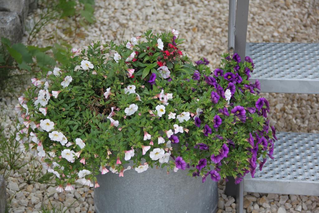 Aux Charmes De La Campagne Hautrage Exterior foto